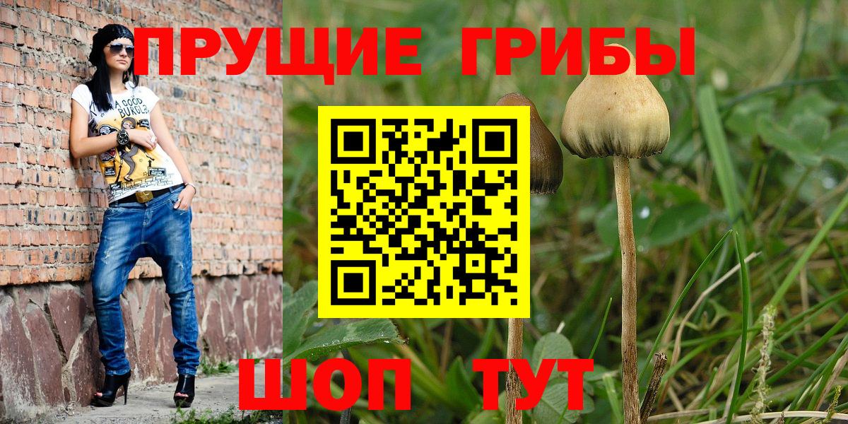Златоуст  Галлюциногенные грибы GOLDEN TEACHER  Галлюциногенные грибы GOLDEN TEACHER  Вход с VPN 